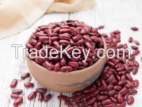 large kidney beans for sale
