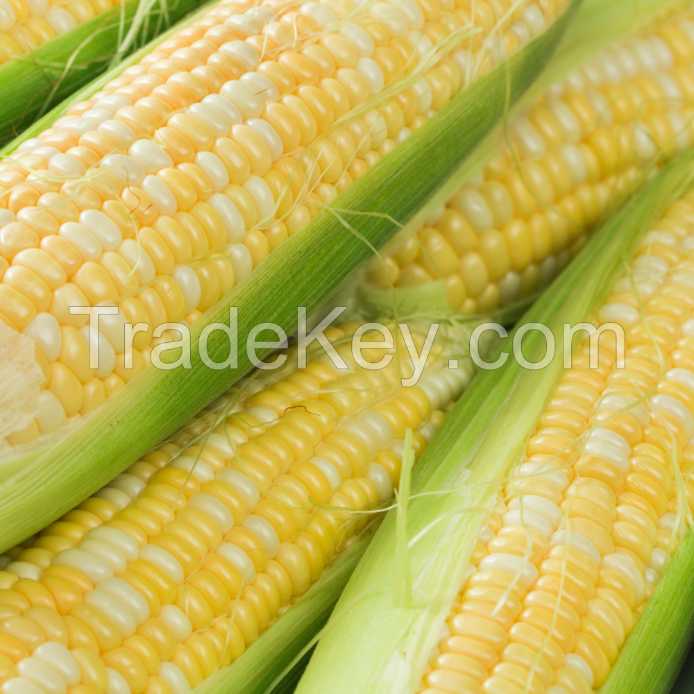 Corn