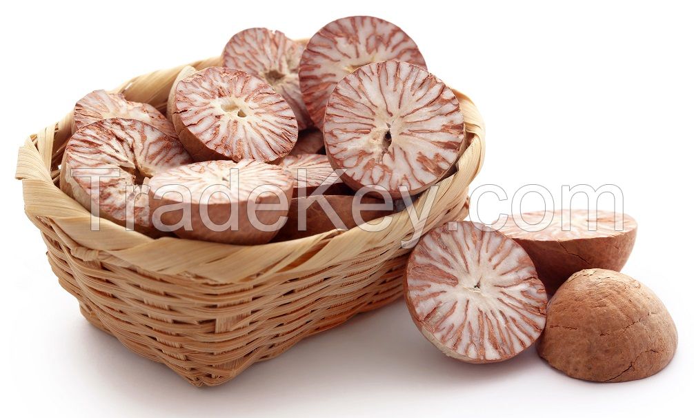 Areca Betel Nut