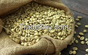 arabica coffee beans