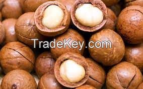 macadamia nuts