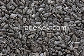 Best Price Tanzania Use Of Original Taste Sunflower Seeds