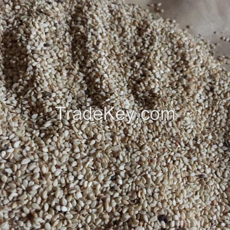 White Natural Sesame Seeds  White Sesame Seeds