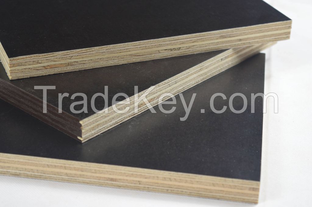 Phenolic Wood Plywood Unique Design Hot Sale High Quality Phenolic Wood Plywood Building Wood