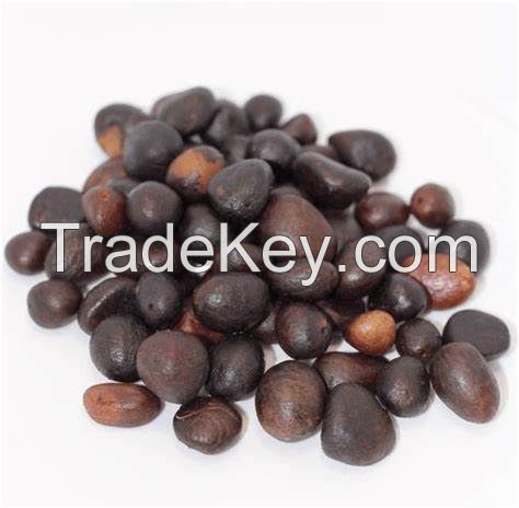 PALM KERNEL SEED DRY AND CRACK