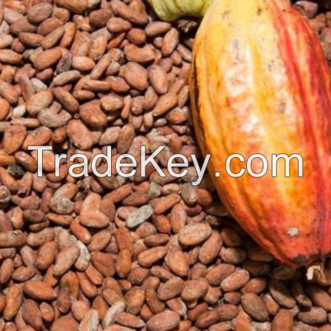 Raw Cacao Cocoa Beans Nibs Seeds Best Price, Buy Raw Cacao Cocoa Beans