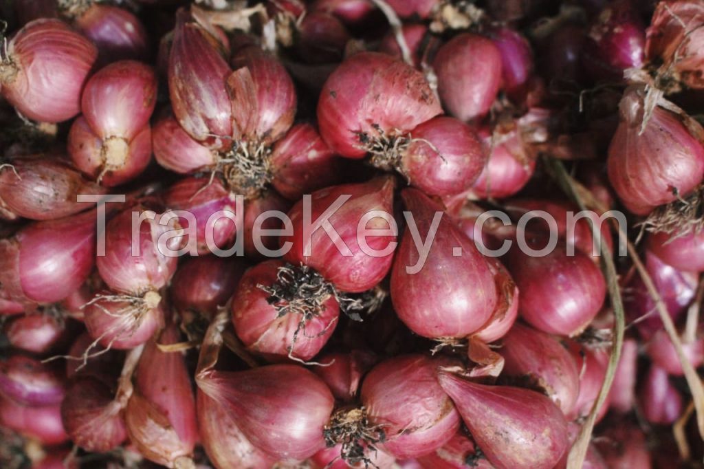 Shallots (Grade A)