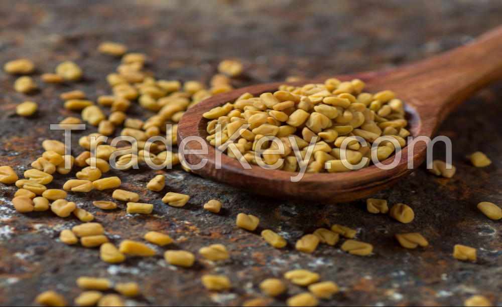 Buy Fenugreek