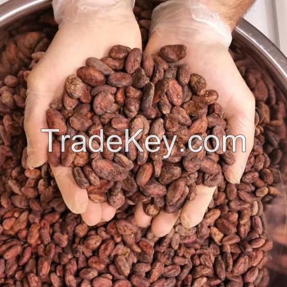 Cocoa Shells Cocoa Husk Natural Fermented And Dried Cacao Cocoa Beans Dried Grade A Cocoa Beans cocoa powder cocoa butter Cacao Chocolate Bean quality Pure dark chocolate coin HDDB85