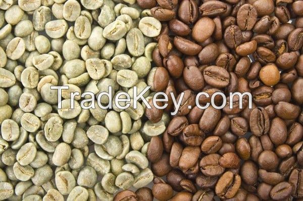 Grade A Blended Floured Quality Roasted Coffee Beans Robusta Arabica Coffee Bean Sicilia powder coffee for weight loss instant coffee Green Coffee Bean