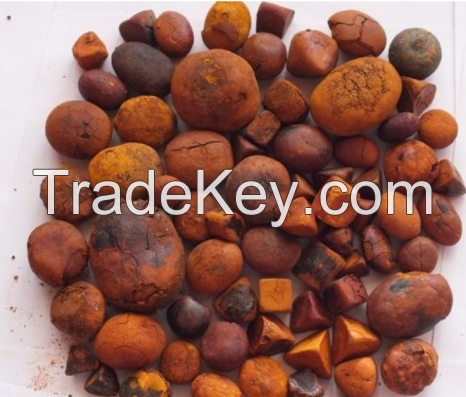 Buy Cow Ox Gallstones