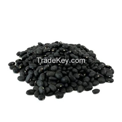 Red Speckled kidney Beans, White Kidney Beans, Black Kidney Beans, Dark Red Kidney Beans