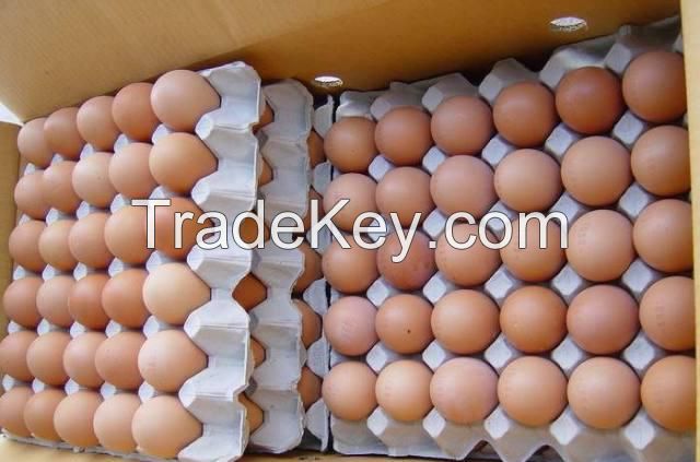 Fresh Brown/White Table Eggs Chicken Eggs