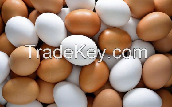 Fresh Chicken Brown & White Table Eggs