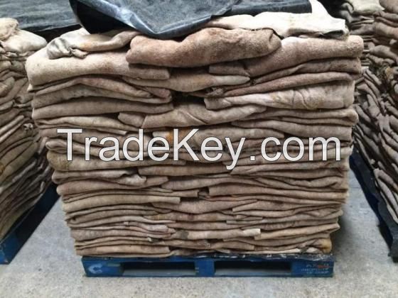 Best Quality Wet Salted Cow Hides