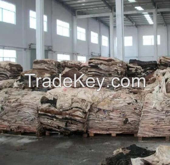 Wet Salted Donkey Hides, Dry Salted donkey skin, Wet Salted Cow Hides Skins, donkey hides