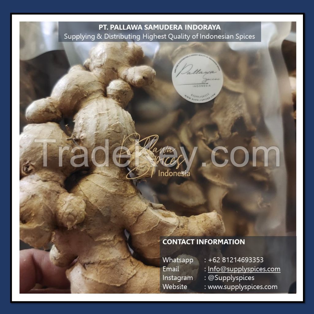 Ready FRESH GINGER From Indonesia