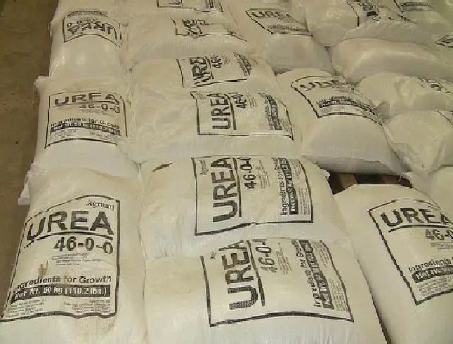 Urea 46 Prilled Granular/Urea Fertilizer 46-0-0/Urea N46%