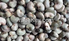 Buy Raw Cashew Nut