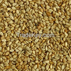 Buy Sesame Seeds