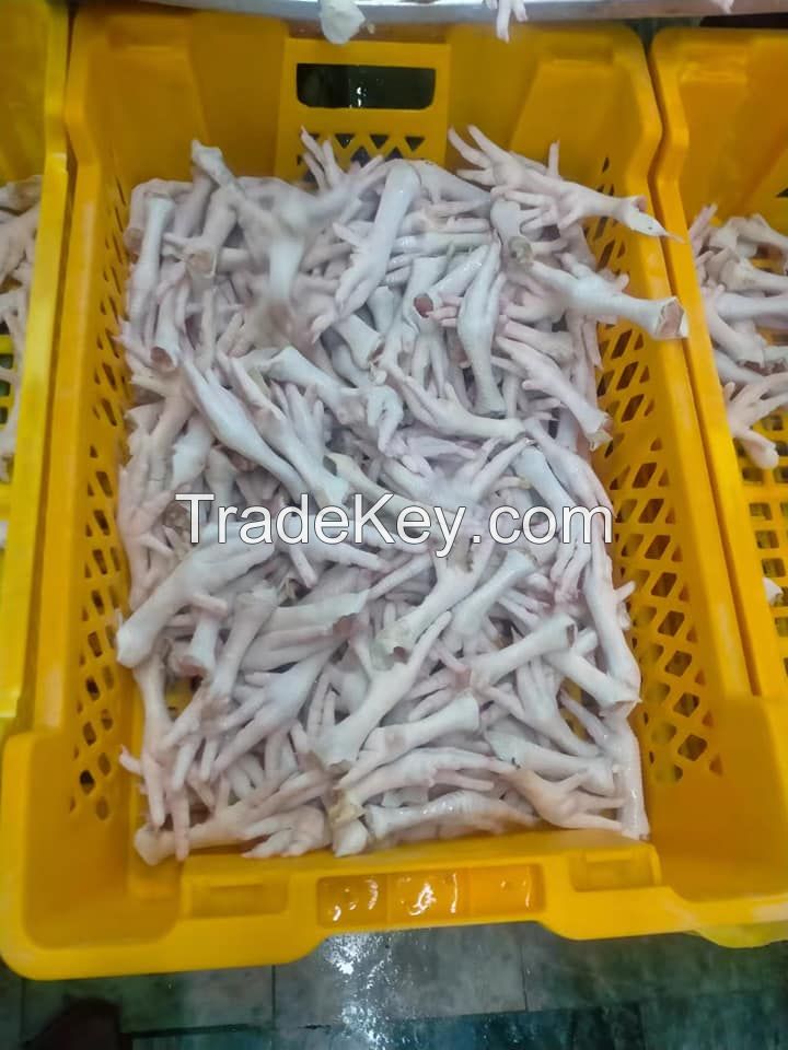 HALAL FROZEN WHOLE CHICKEN / FROZEN CHICKEN FEET / FROZEN CHICKEN PAWS SUPPLIERS