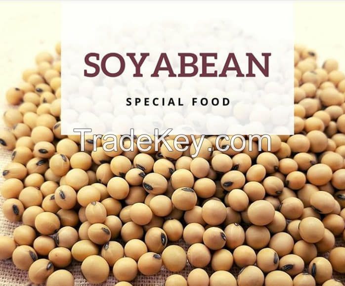 SOYBEANS SUPPLIERS