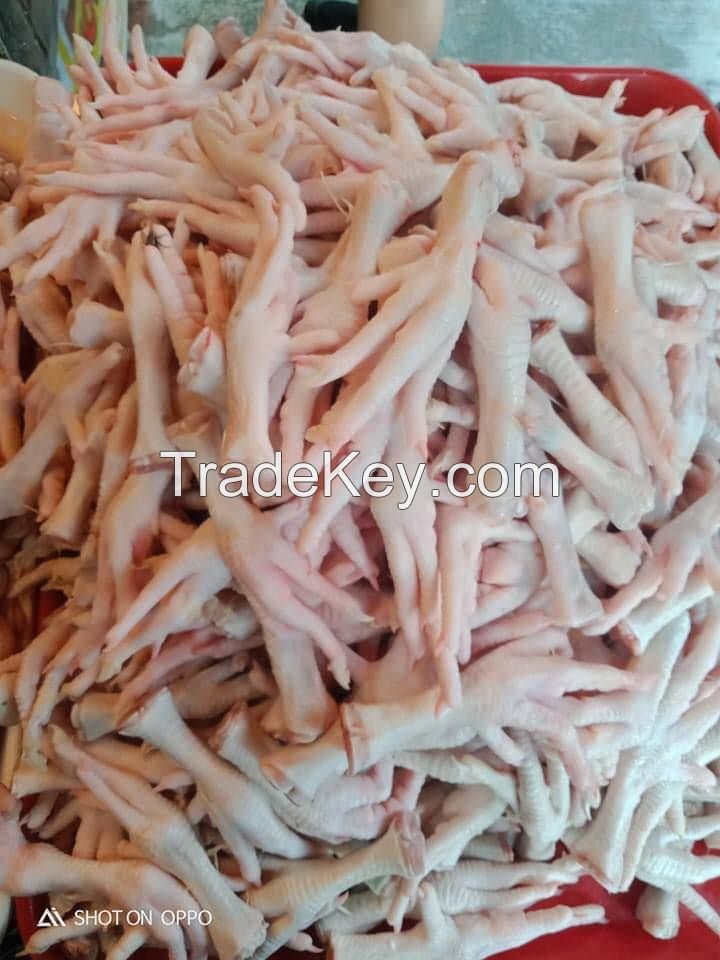 GRADE AAA FROZEN CHICKEN FEET / A-GRADE CHICKEN FEET / CHICKEN PAWS