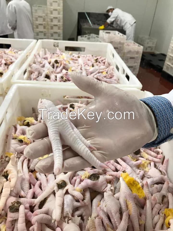 CHICKEN FEET AND PAWS FROM BRAZIL SIF PLANT