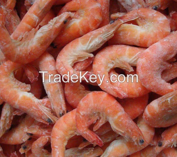 High quality shrimps Supplier