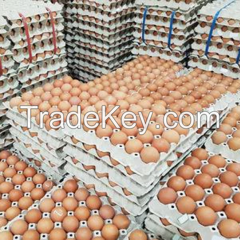 Selling Chicken Table eggs