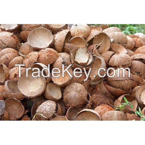 Top quality coconut Shell