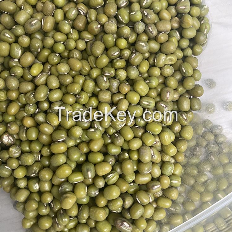 Top Selling good Quality Mung Beans