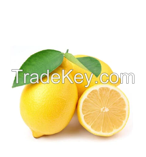 QUALITY JUICY FRESH LEMON IN WHOLESALE PRICE