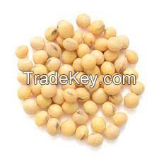Top quality Soybean supplier