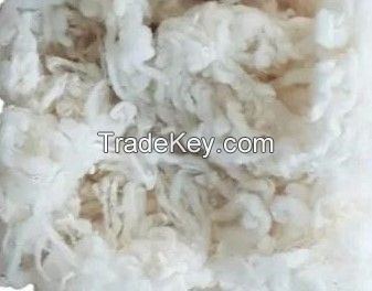 24-26 Micron Scoured Merino Wool
