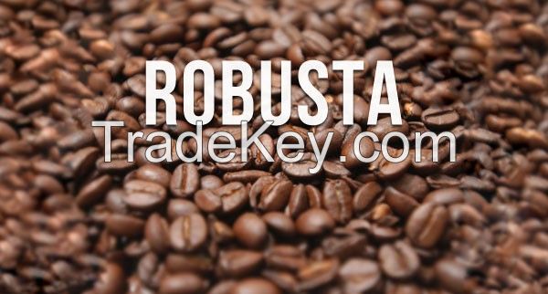 High quality Coffee Beans with affordable prices