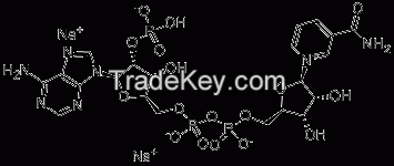 NADP powder CAS53-59-8