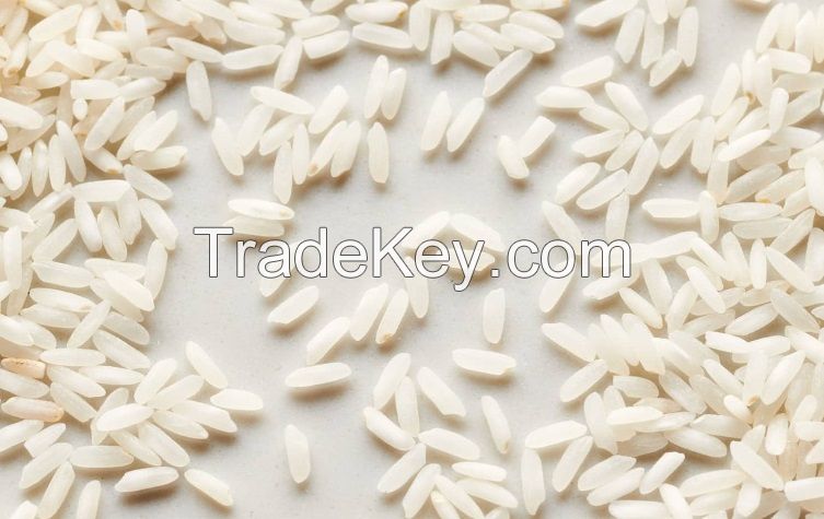 504 Rice Grains