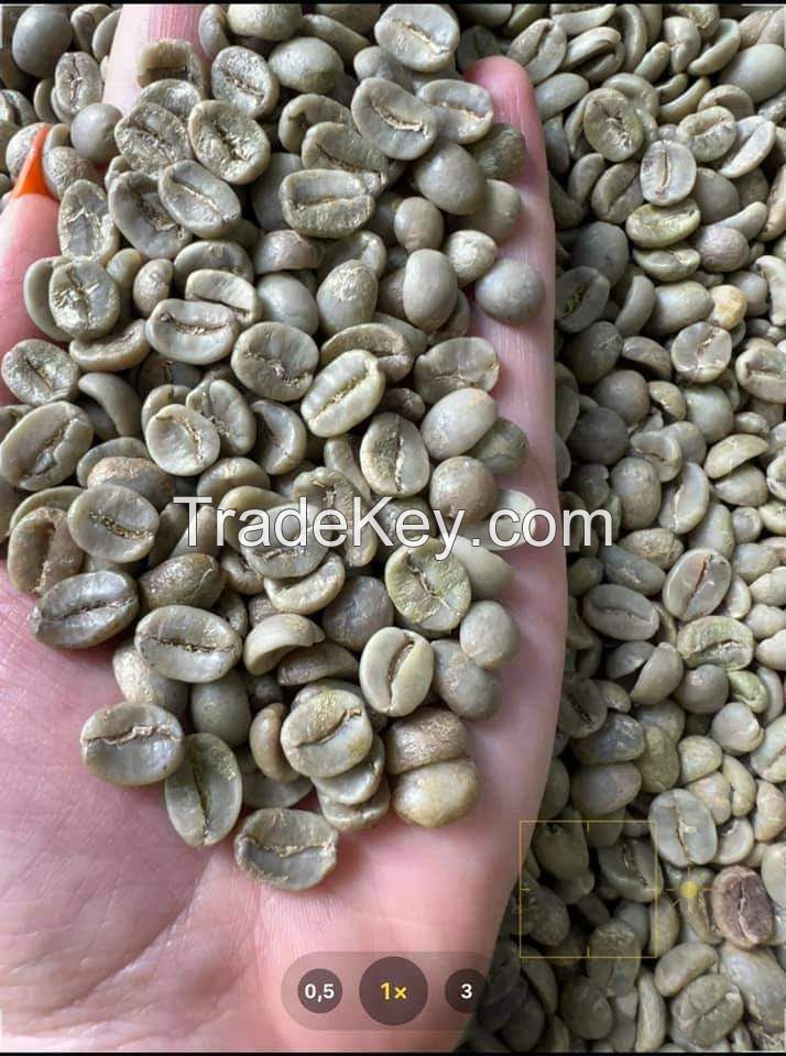 Supply Green Coffee Bean from Viet Nam