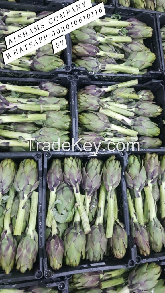 we offer fresh artichoke