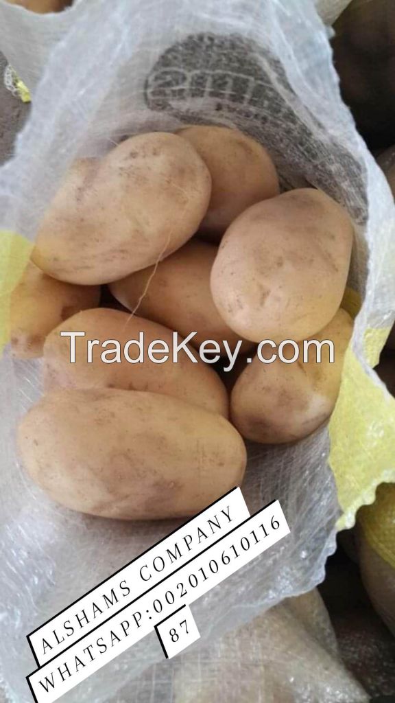 Fresh Egyptian potatoes