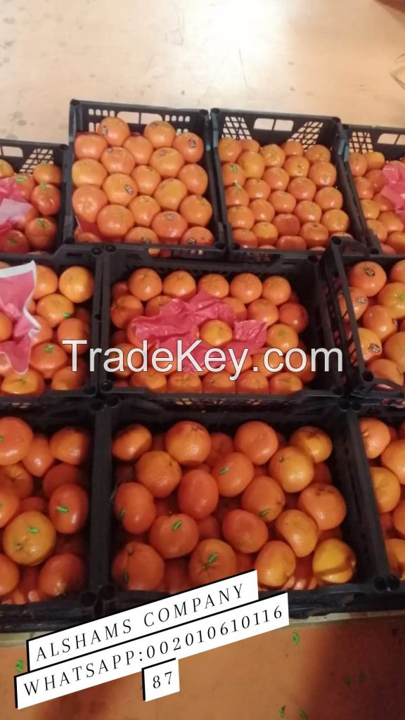 we offer mandarin murcotte