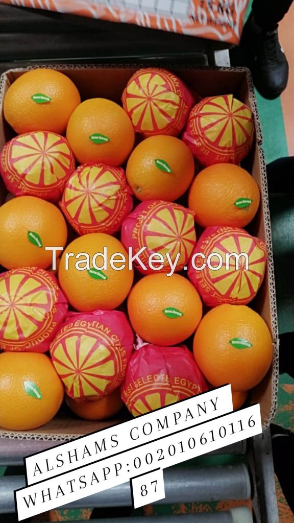 We offer fresh Egyptian orange