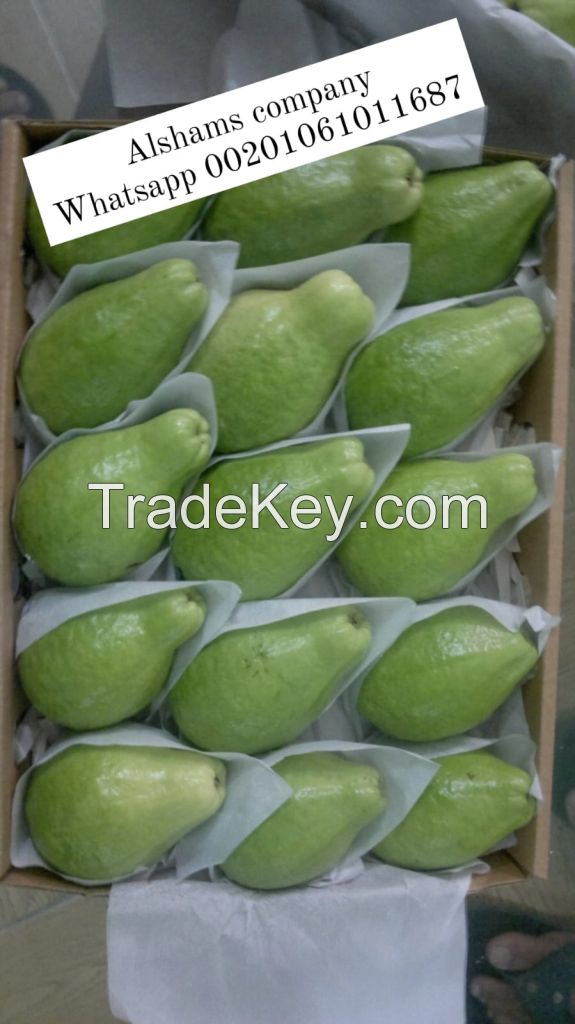 Fresh Egyptian guava