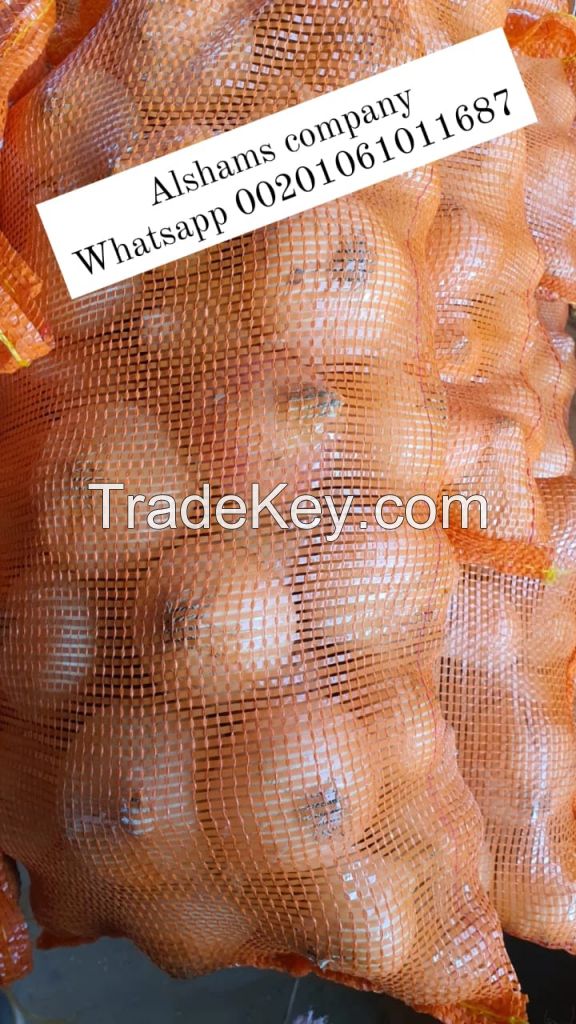 Fresh Egyptian onions with high quality