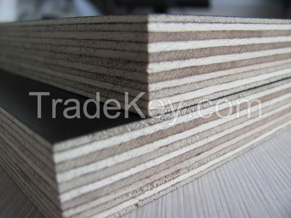 shuttering plywood finger joint core black film plywood thickness 12 mm