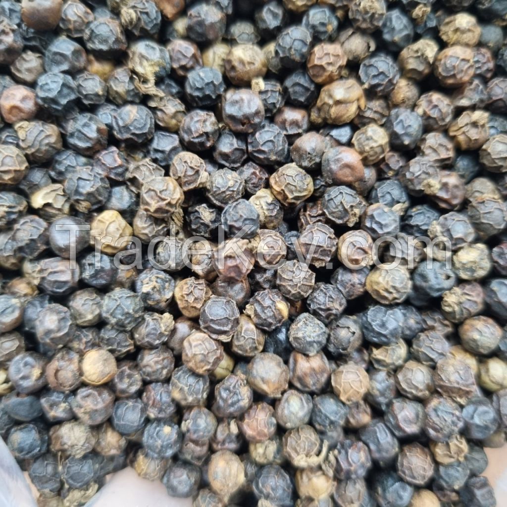 PREMIUM QUALITY BLACK PEPPER 5MM BOLD for importers