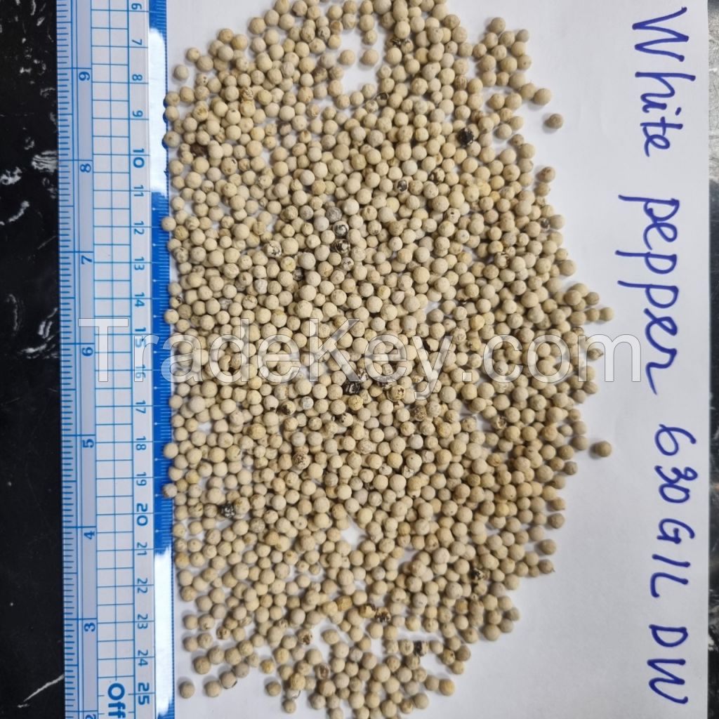 VIETNAM WHITE PEPPER 630G/L DOUBLE WASHED GOOD QUALITY