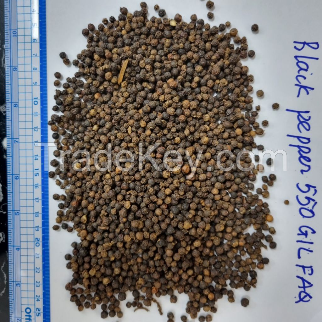 VIETNAM BLACK PEPPER 550G/L FAQ EXPORT STANDARD