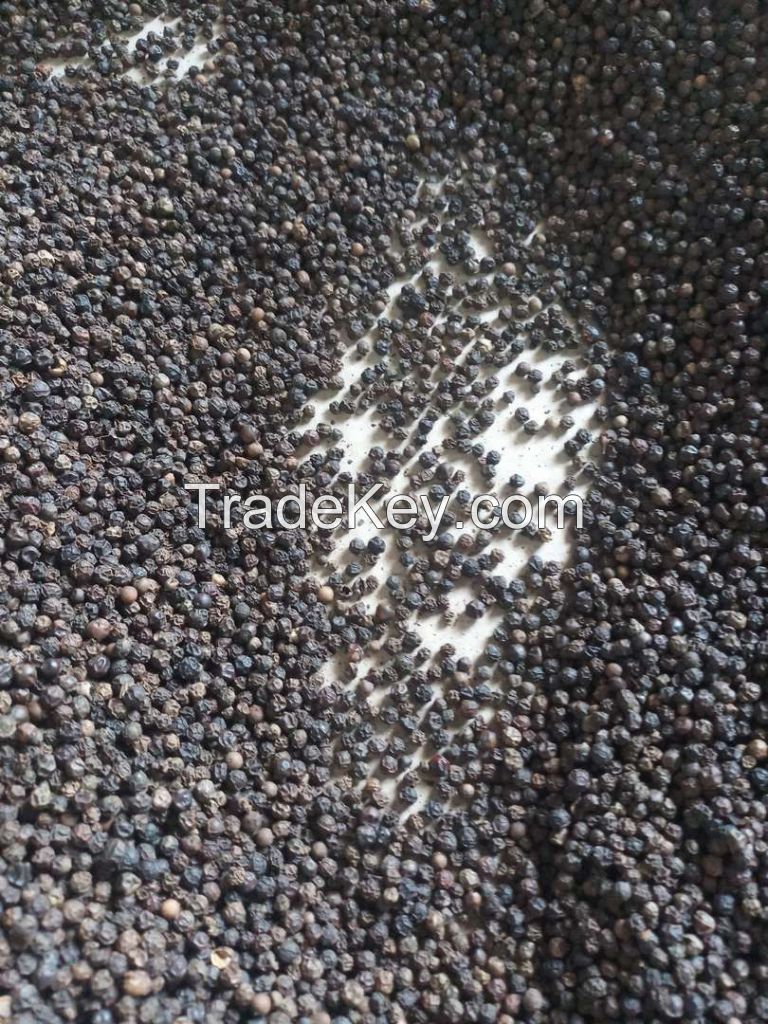 VIETNAM BLACK PEPPER 570G/L MACHINE CLENNED Competitve Price